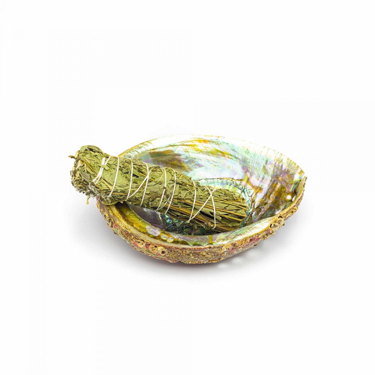 crni-zajbelj-black-sage-kadilo-portal8
